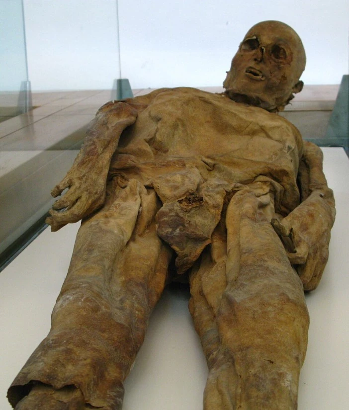 Vaccata