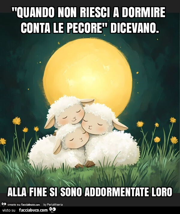 "quando non riesci a dormire conta le pecore" dicevano. Alla fine si sono addormentate loro