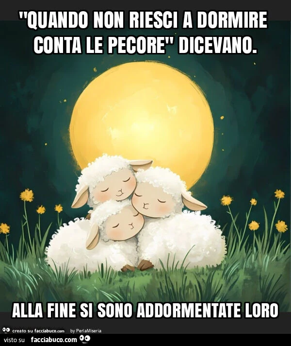 "quando non riesci a dormire conta le pecore" dicevano. Alla fine si sono addormentate loro