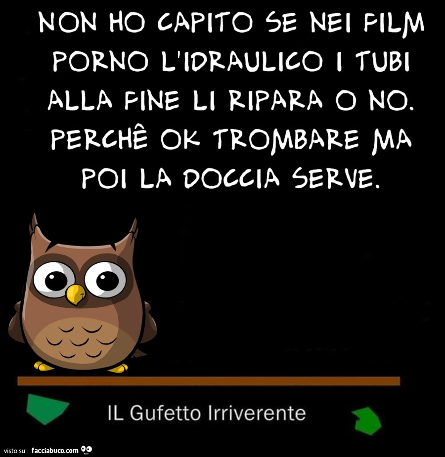Non ho capito se nei film porno l'idraulico i tubi alla fine li ripara o no. Perchรจ ok trombare, ma poi la doccia serve