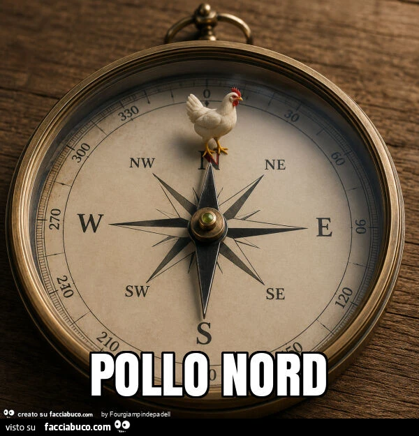 Pollo nord