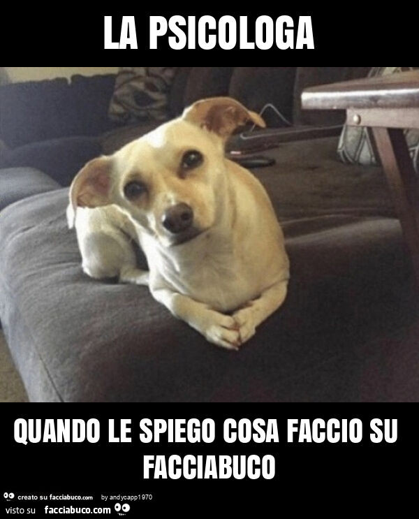 La psicologa quando le spiego cosa faccio su facciabuco