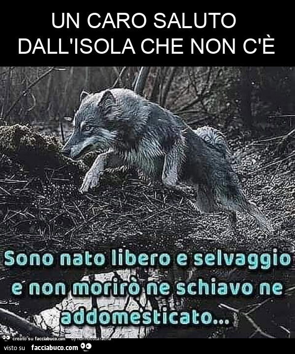 Un caro saluto dall'isola che non c'è