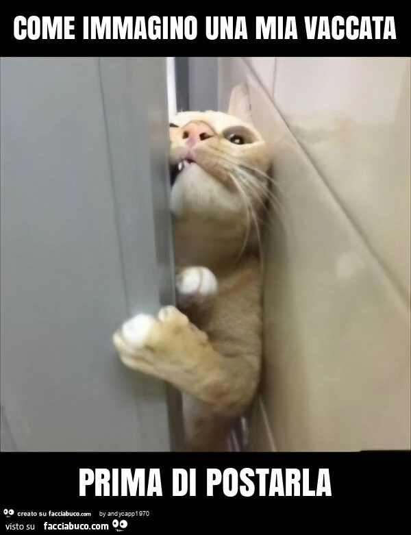 Come immagino una mia vaccata prima di postarla