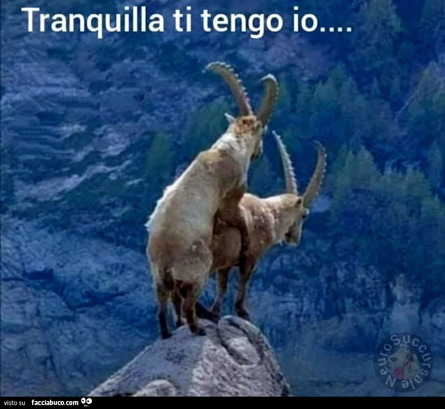 Brividi