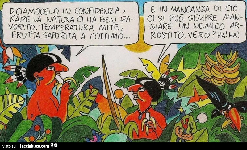 Vaccata