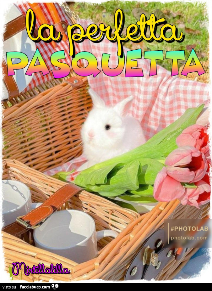 Perfetta Pasquetta