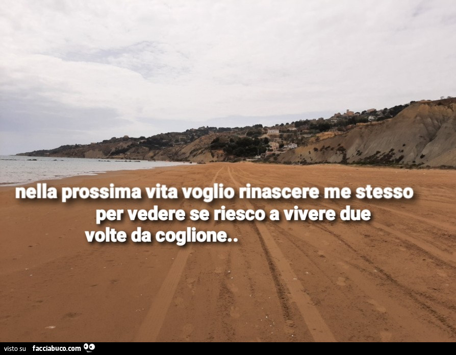 Vita