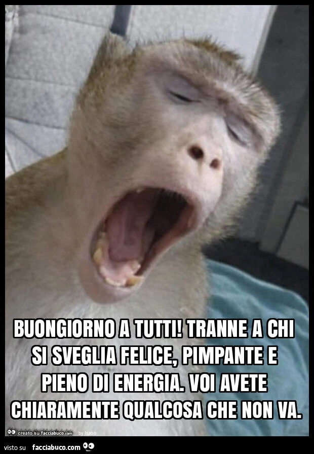 Buongiorno a tutti! Tranne a chi si sveglia felice, pimpante e pieno di energia. Voi avete chiaramente qualcosa che non va