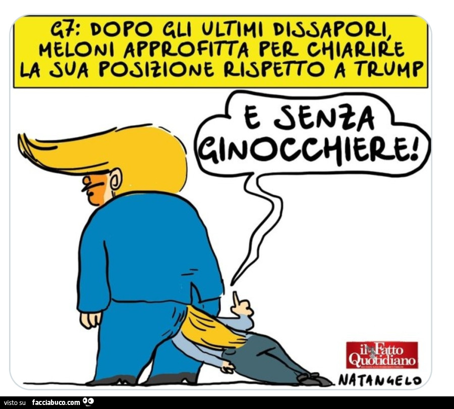 Vaccata