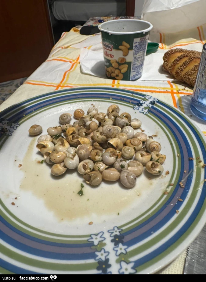 Vaccata
