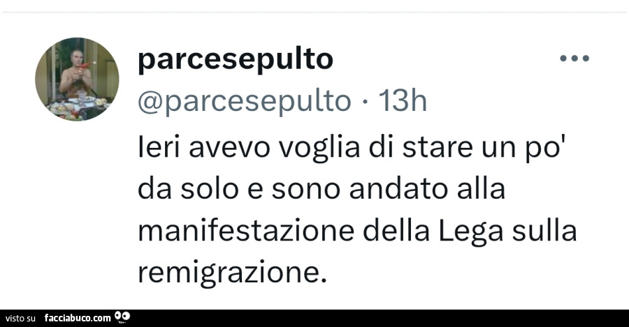 Ieri avevo voglia di stare un po' da solo e sono andato alla manifestazione della lega sulla remigrazione