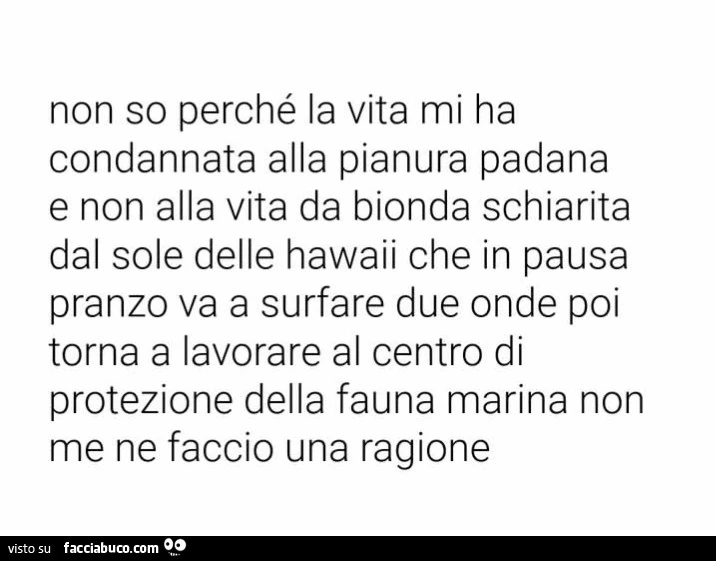 Non so perché la vita mi ha condannata alla pianura padana e non alla vita da bionda schiarita dal sole delle hawaii che in pausa pranzo va a surfare due onde poi torna a lavorare al centro di protezione della fauna marina non me ne faccio una ragione