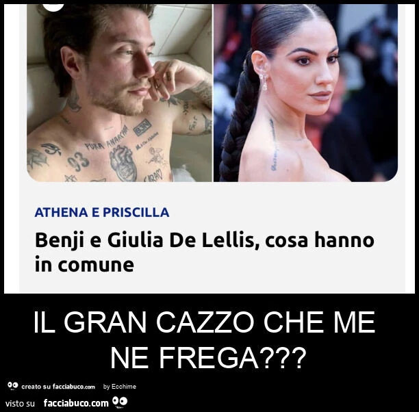 Il gran cazzo che me ne frega?