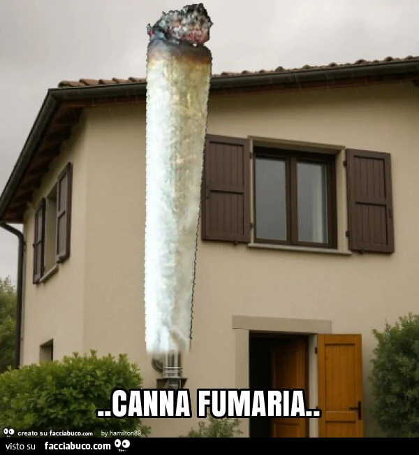 Canna fumaria