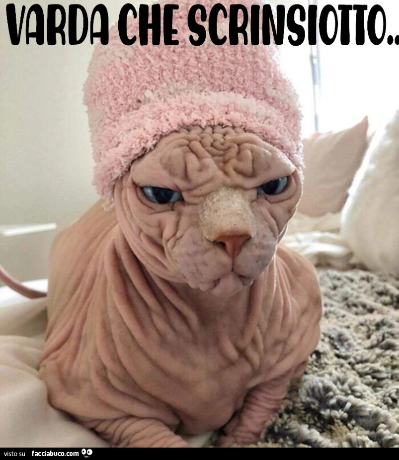 Vaccata