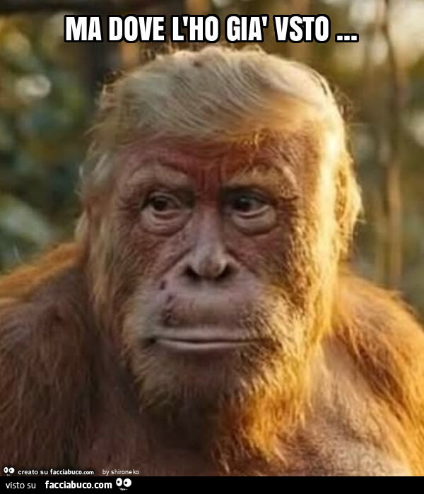 Ma dove l'ho già vsto