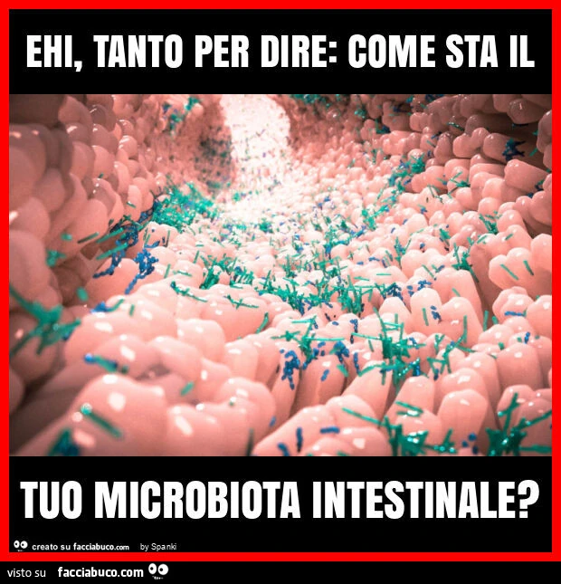 Ehi, tanto per dire: come sta il tuo microbiota intestinale?
