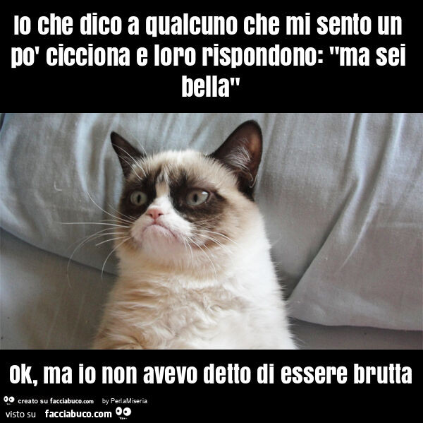 Io che dico a qualcuno che mi sento un po' cicciona e loro rispondono: "ma sei bella" ok, ma io non avevo detto di essere brutta