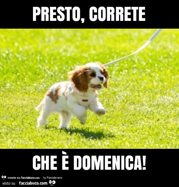 Presto, correte che è domenica