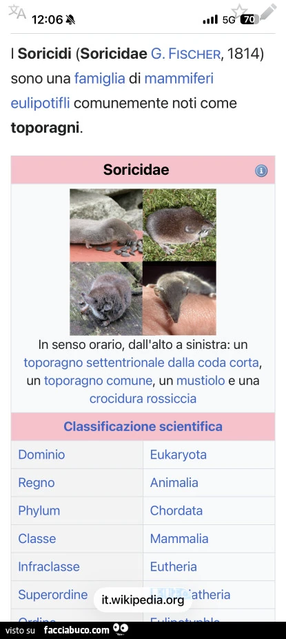Vaccata