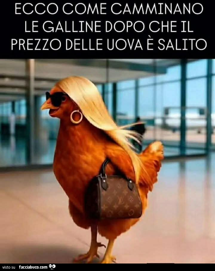 Vaccata