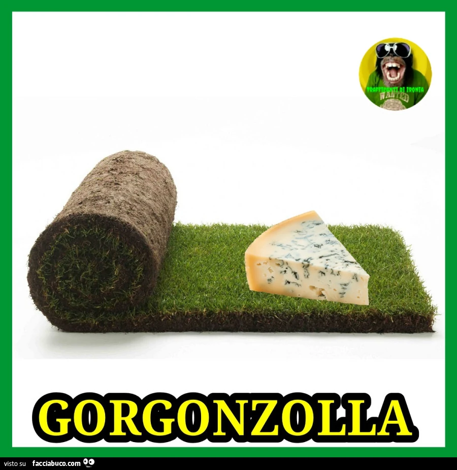Gorgonzolla
