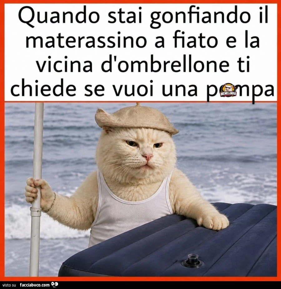 Vaccata