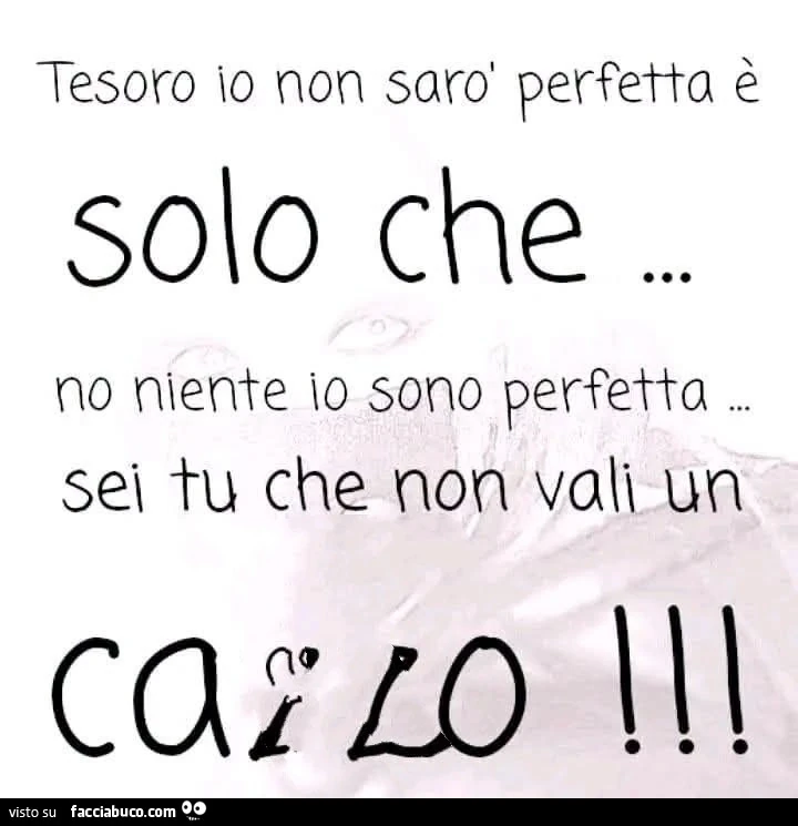 Tesoro io non sarò perfetta è solo che&hellip; no niente io sono perfetta sei tu che non vali un cazzo