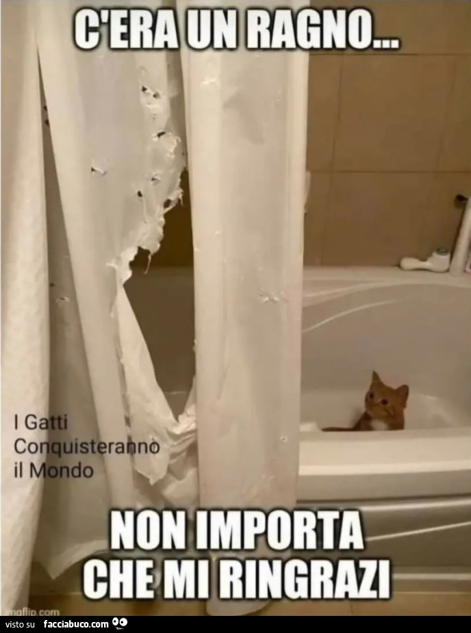 Ragno