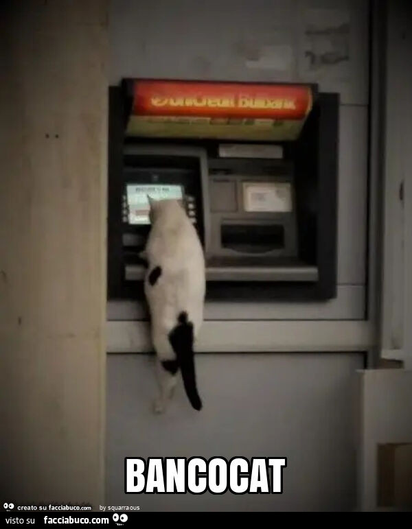 Bancocat