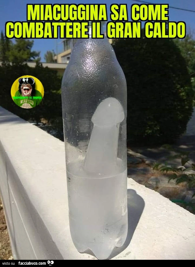 Miacuggina sa come combattere il gran caldo