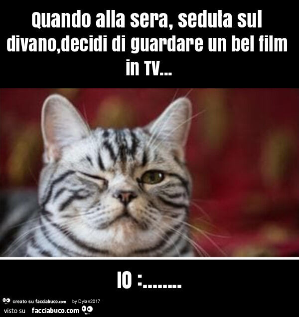 Quando alla sera, seduta sul divano, decidi di guardare un bel film in tv&hellip; io