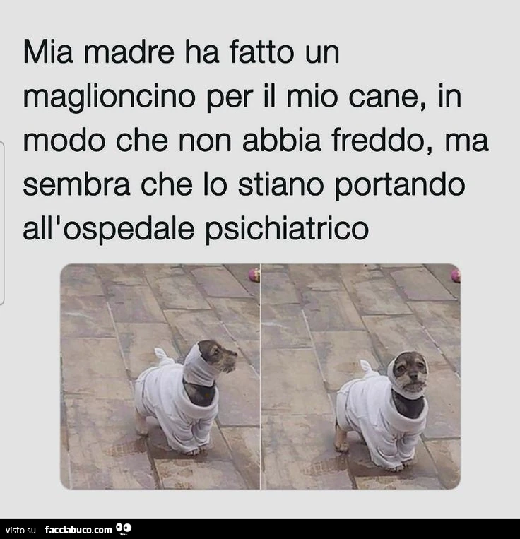 Vaccata