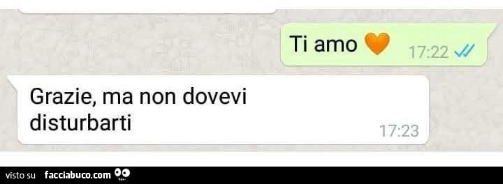 Ti amo. Grazie, ma non dovevi disturbarti