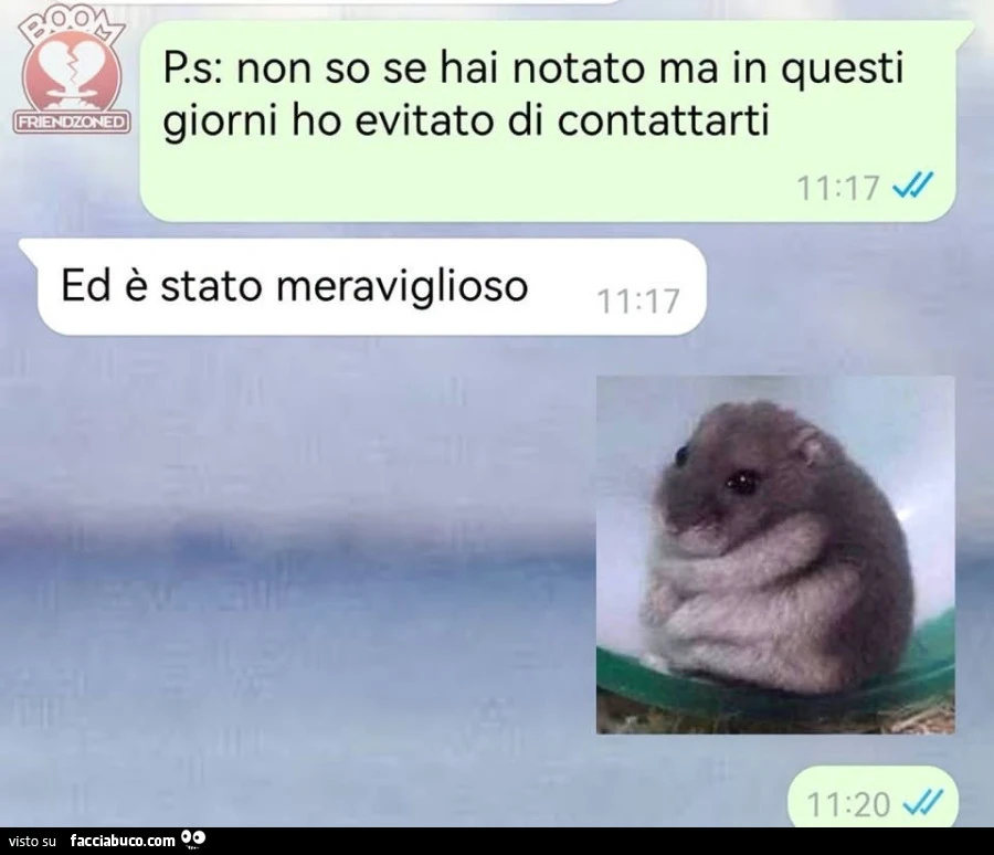 Vaccata