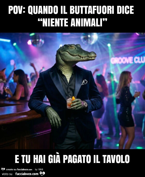 Pov: quando il buttafuori dice “niente animali” e tu hai già pagato il tavolo