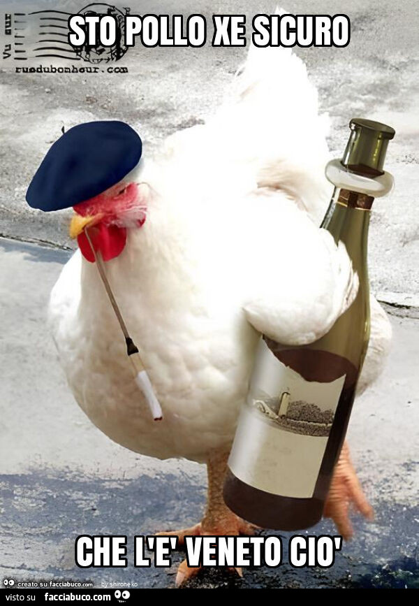 Sto pollo xe sicuro che l'è veneto ciò