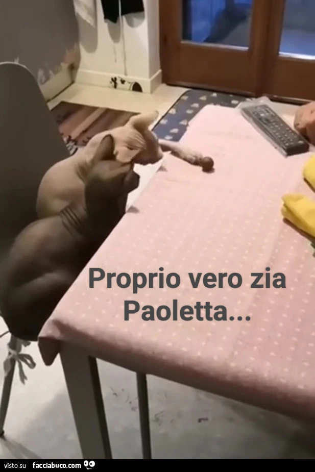 Vaccata