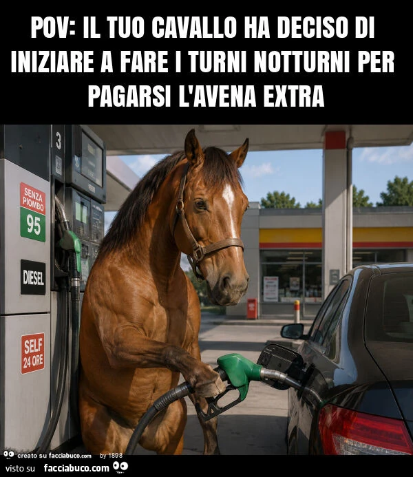 Pov: il tuo cavallo ha deciso di iniziare a fare i turni notturni per pagarsi l'avena extra