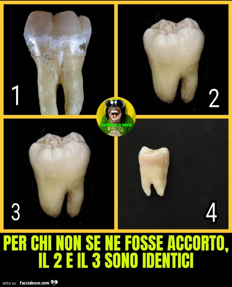 Per chi non se ne fosse accorto il 2 e il 3 sono identici