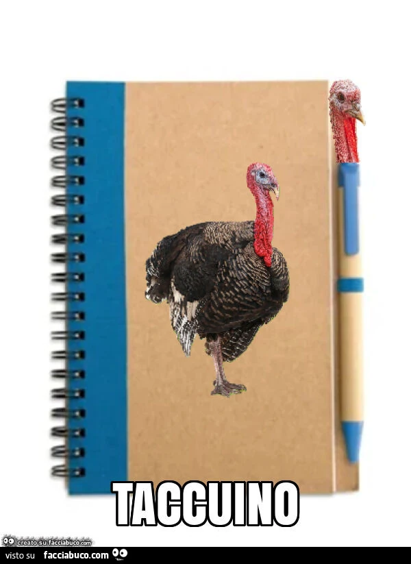 Taccuino