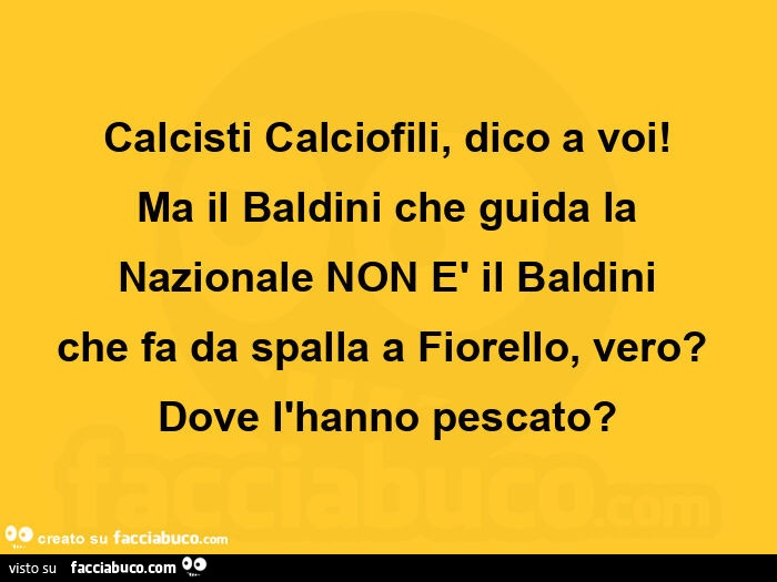 Calcisti calciofili, dico a voi! Ma il baldini che guida la nazionale non è il baldini che fa da spalla a fiorello, vero? Dove l'hanno pescato?