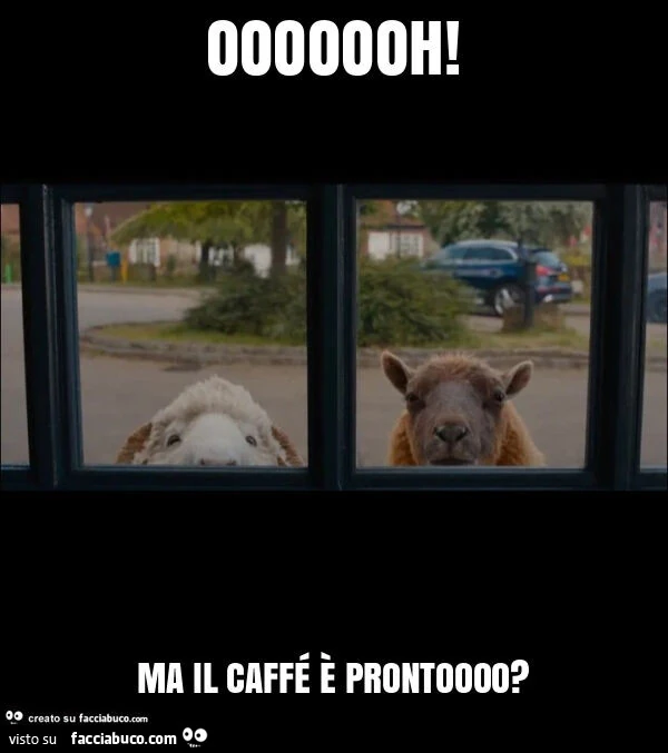 Ooooooh! Ma il caffรฉ รจ prontoooo?