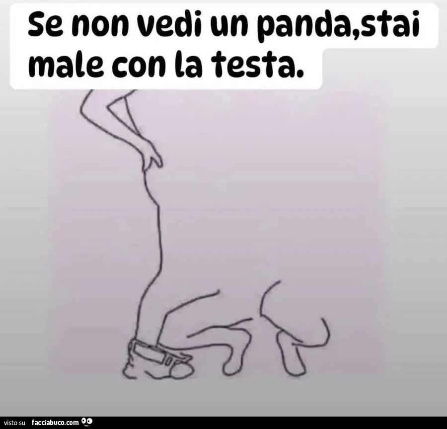 Il panda