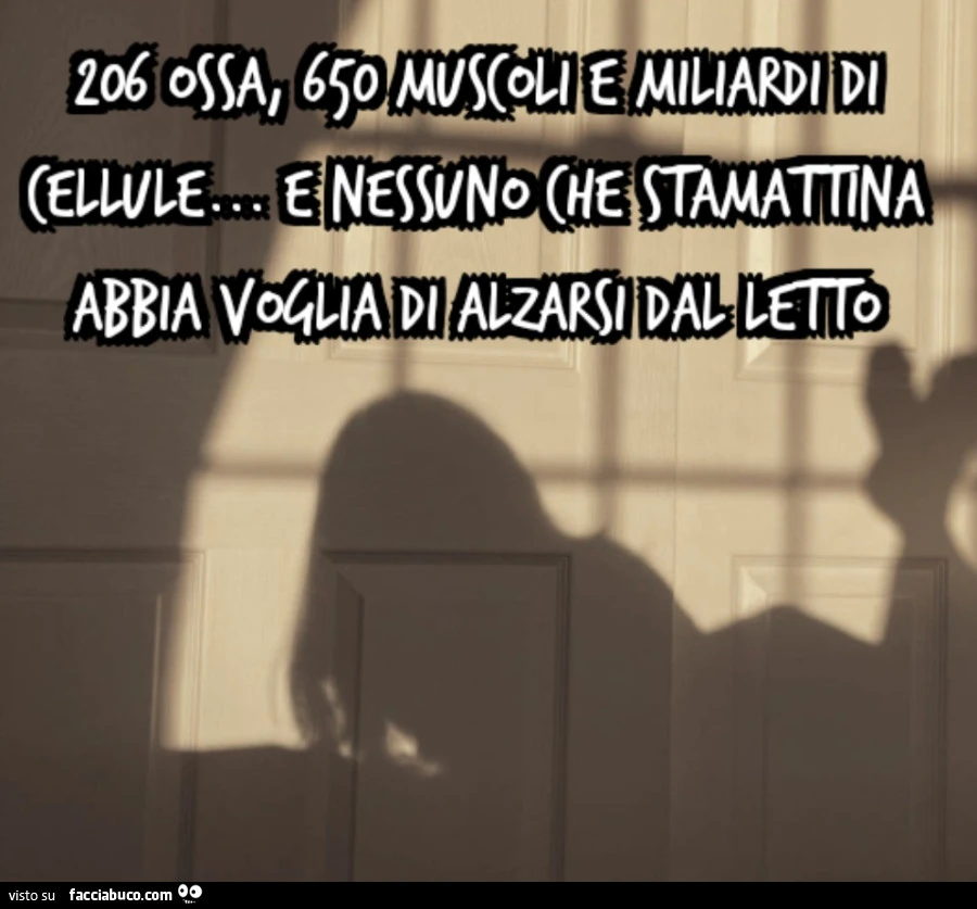 206 ossa, 650 muscoli e miliardi di cellule&hellip; e nessuno che stamattina abbia voglia di alzarsi dal letto