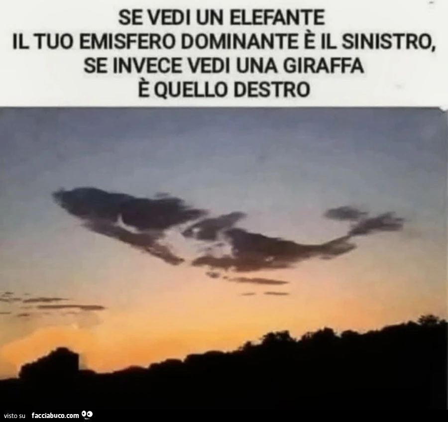 Cervello