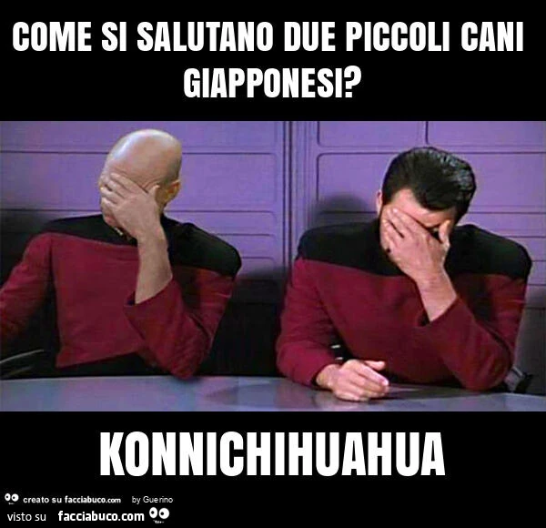 Come si salutano due piccoli cani giapponesi? Konnichihuahua