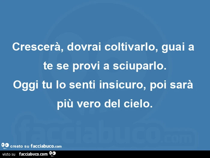 Crescerà, dovrai coltivarlo, guai a te se provi a sciuparlo. Oggi tu lo senti insicuro, poi sarà più vero del cielo