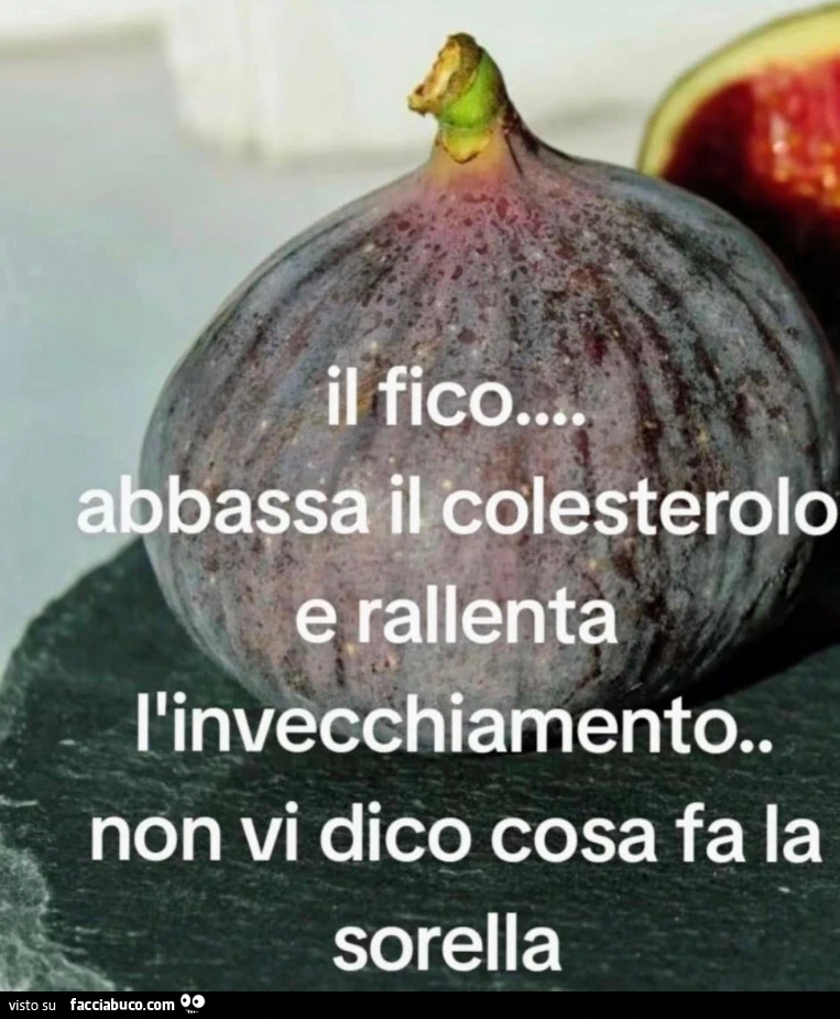 Fico